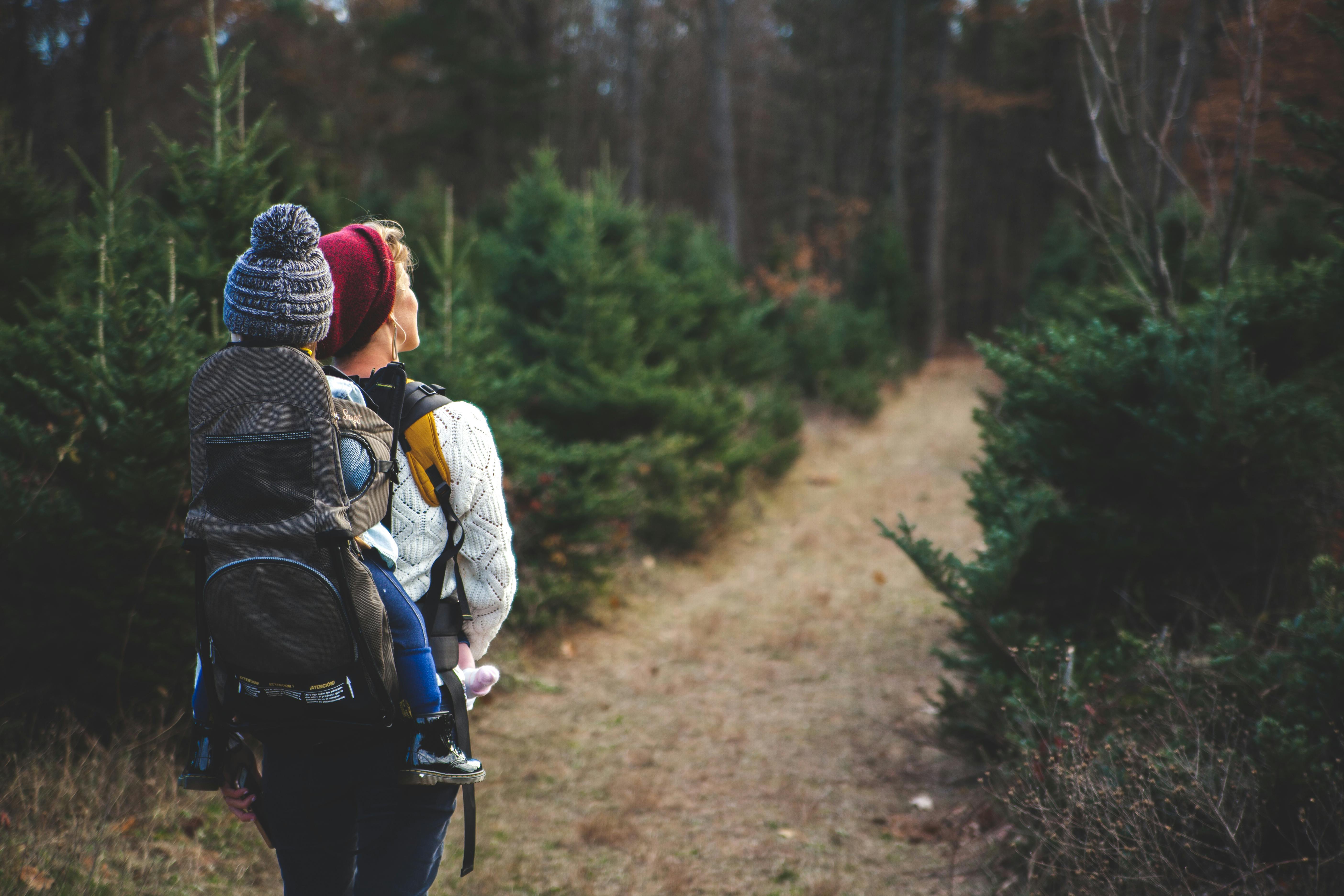 Take Action for the Land for Maine's Future Program!